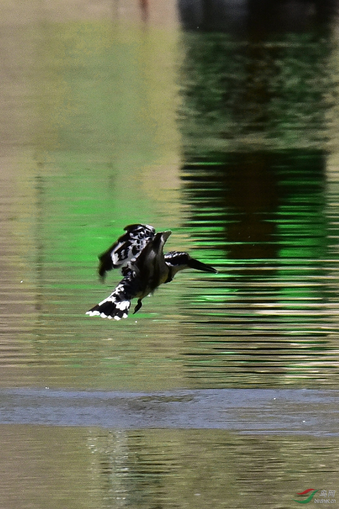 DSC_0361.JPG
