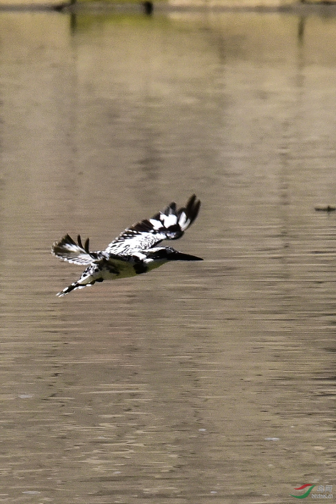 DSC_0365.JPG