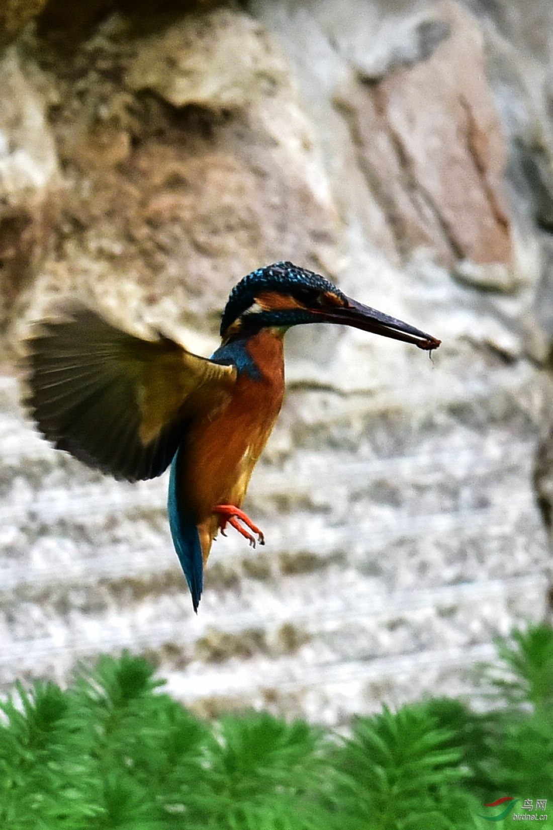 DSC_0372.JPG