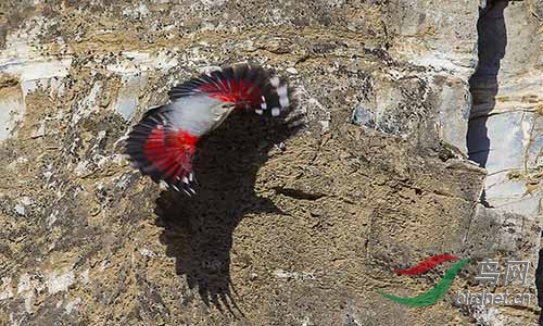 AM3T2663.jpg~s.jpg~s.jpg