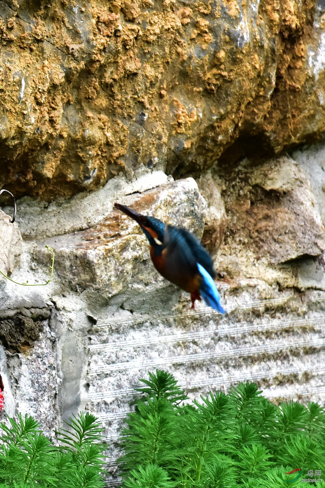 DSC_0376.JPG