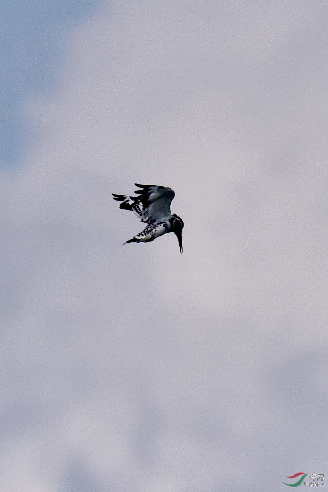 DSC_0381.JPG