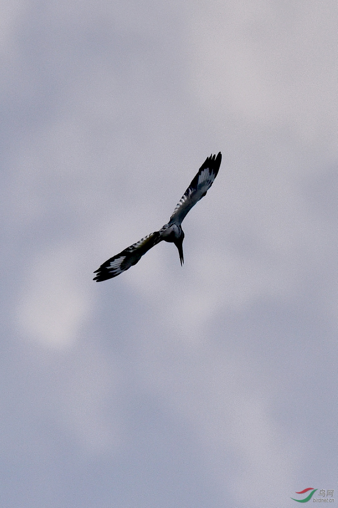 DSC_0384.JPG