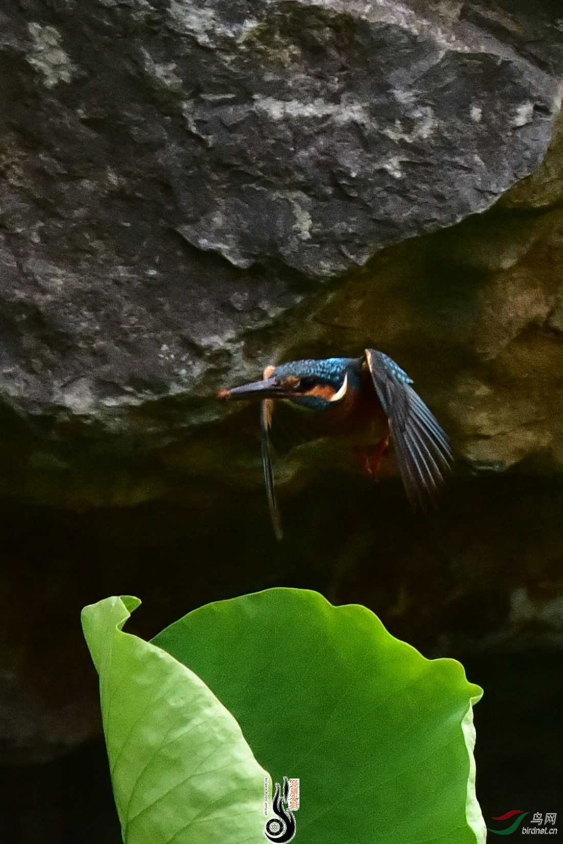 DSC_0388.JPG