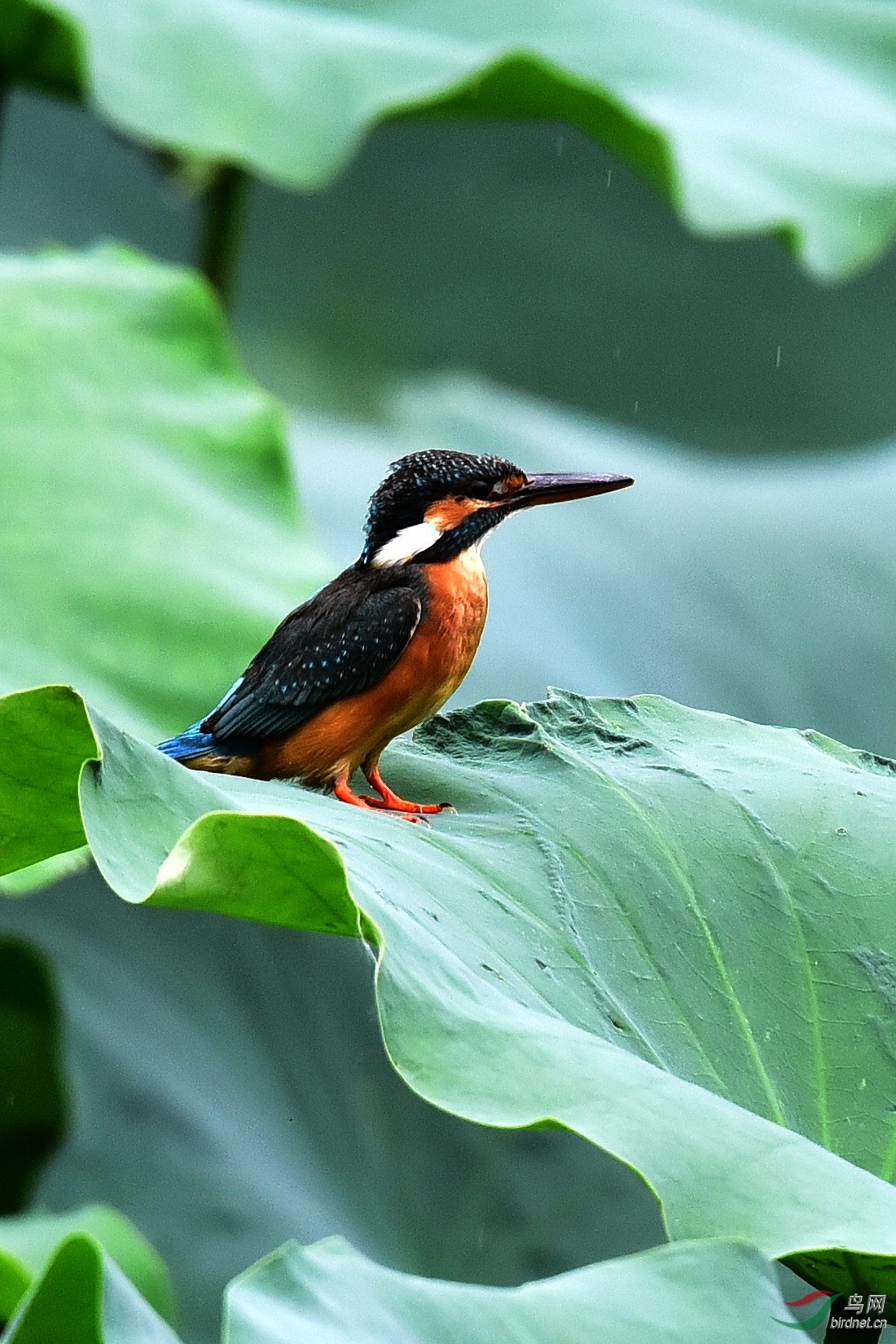DSC_0389.JPG