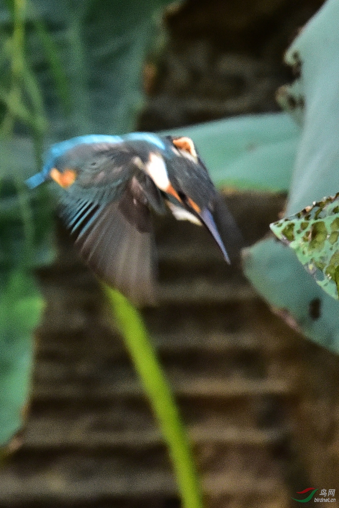 DSC_0392.JPG