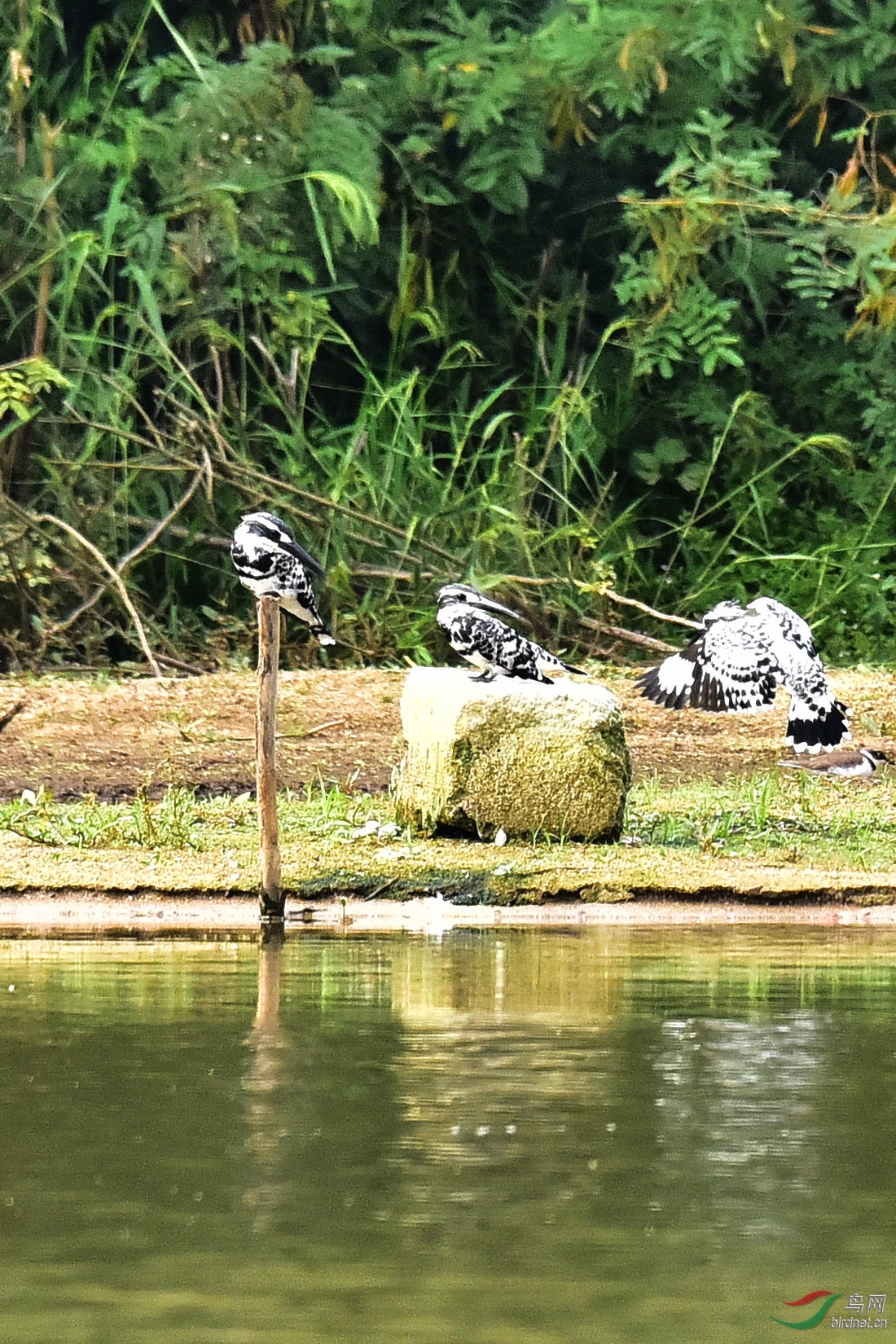 DSC_0400.JPG