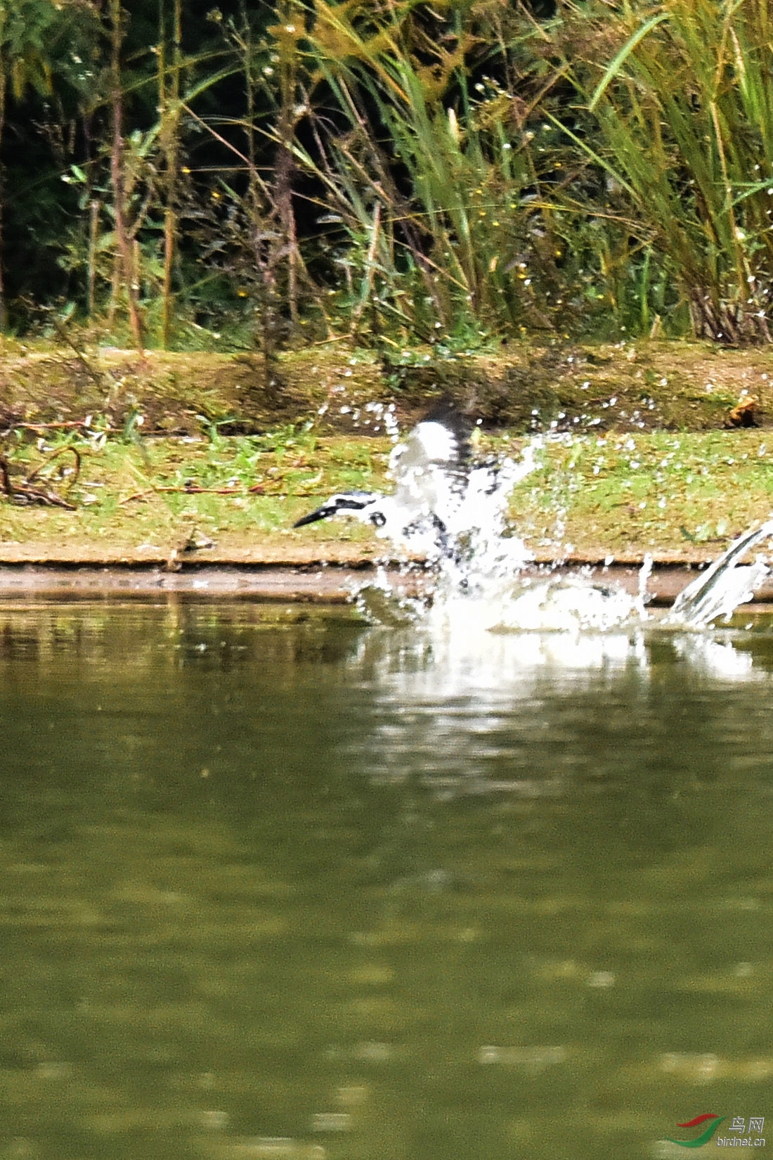DSC_0407.JPG