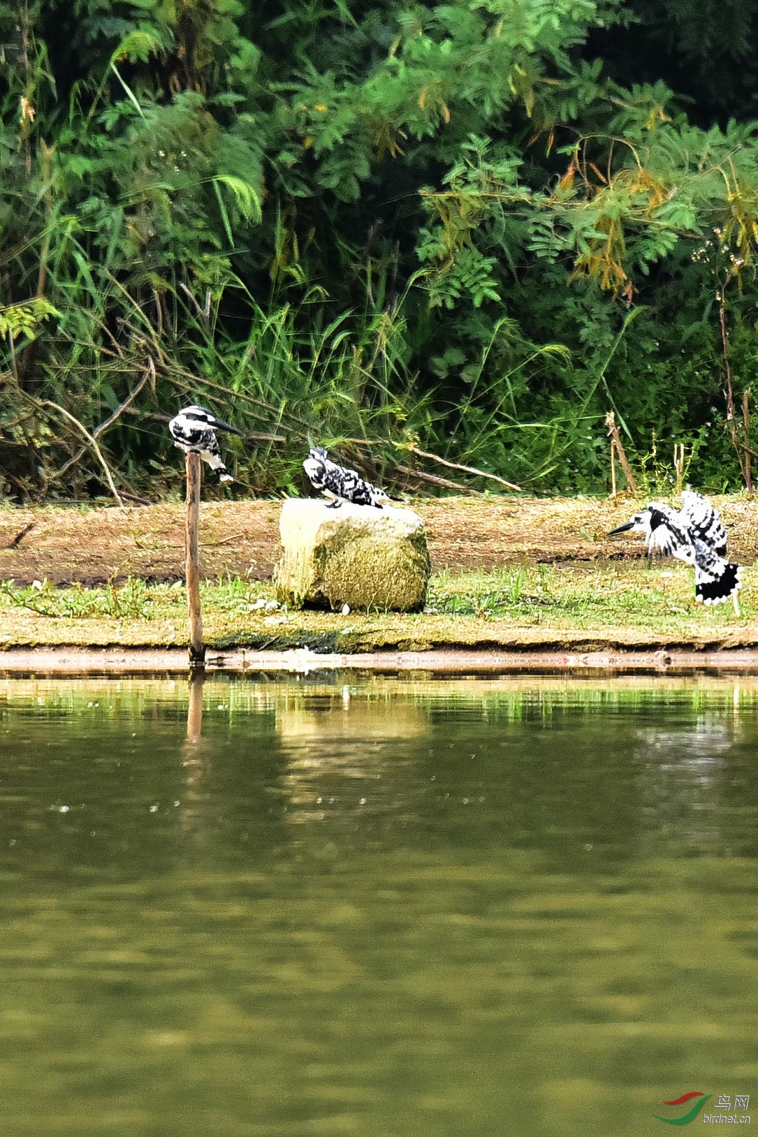 DSC_0408.JPG