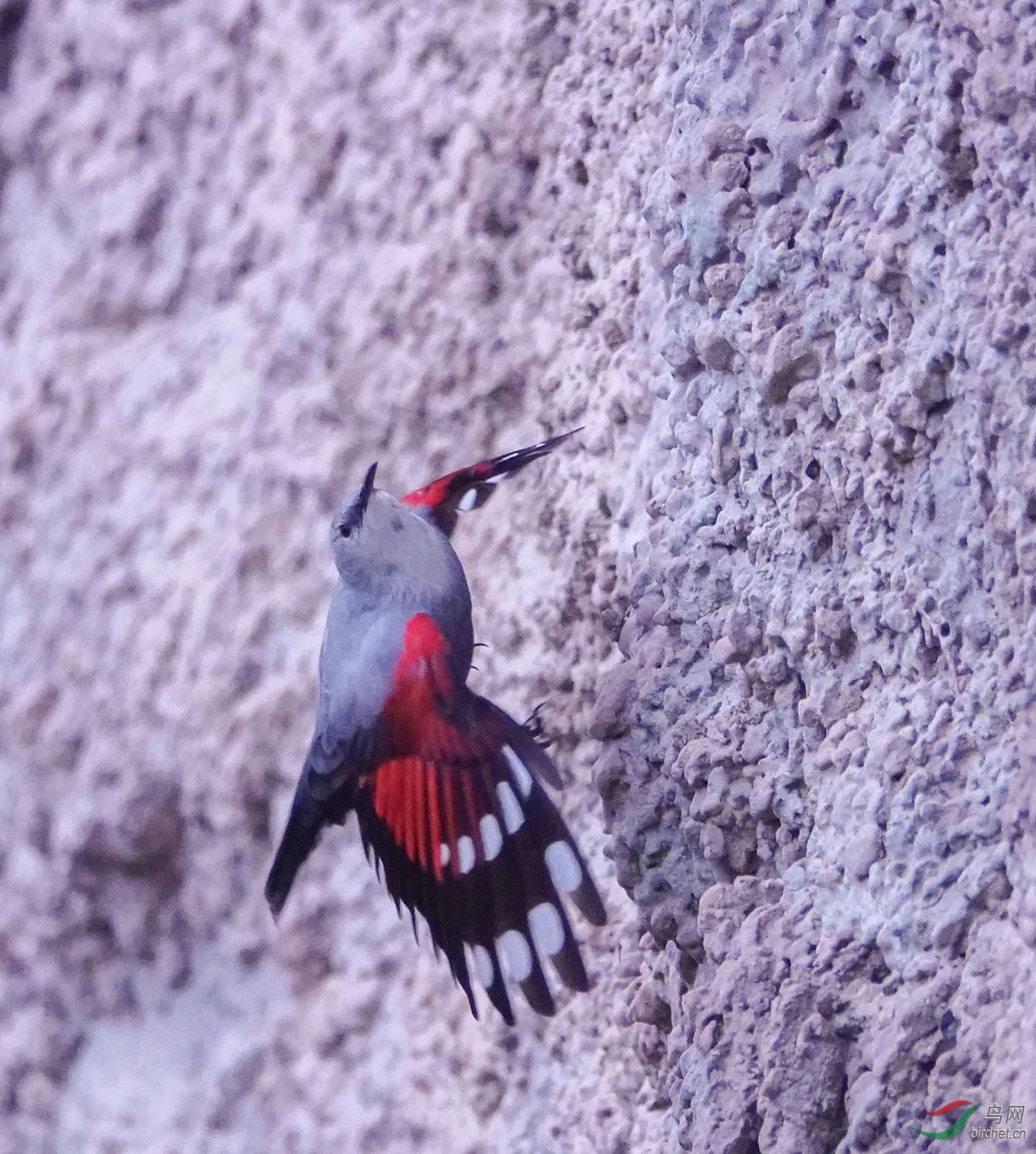 ͼƬ4 ����.jpg