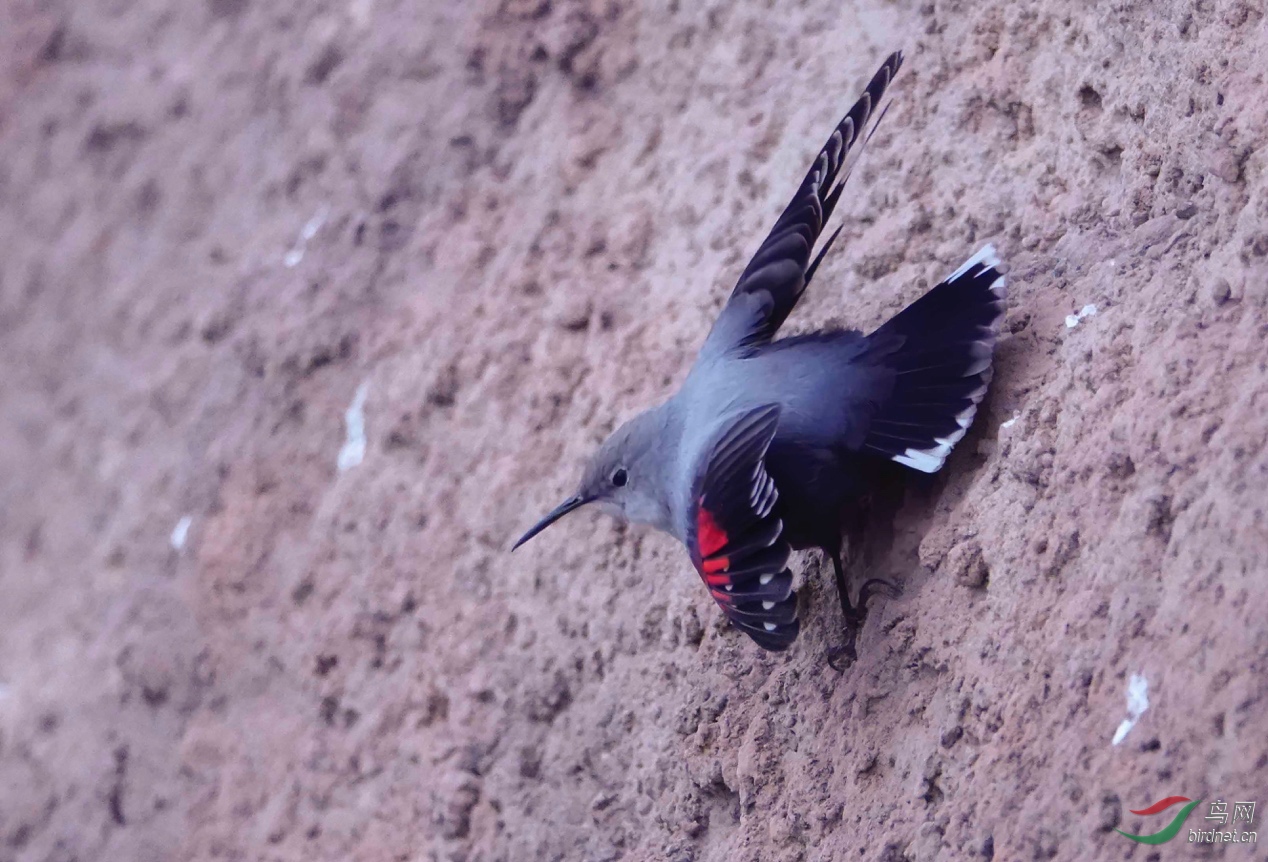 ͼƬ5 ����.jpg