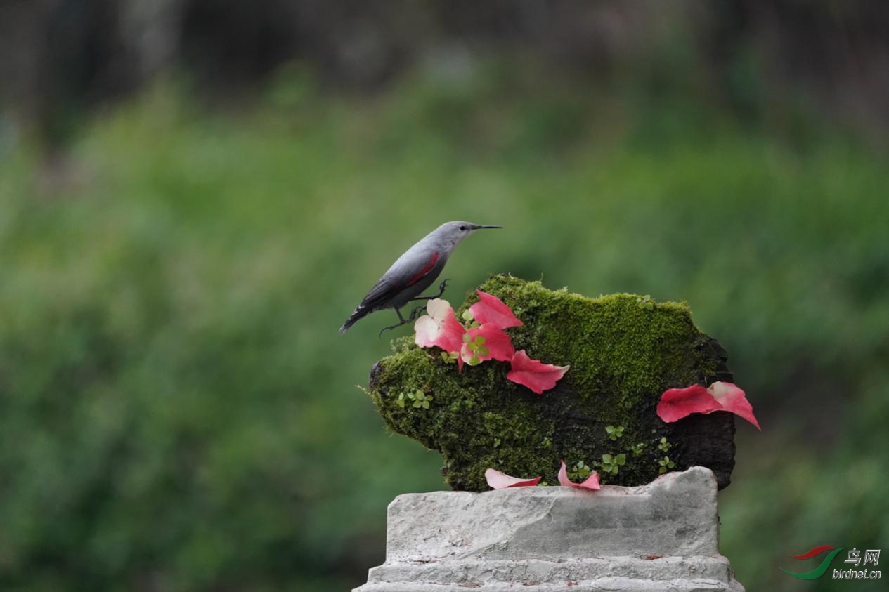 ͼƬ9 ����.jpg