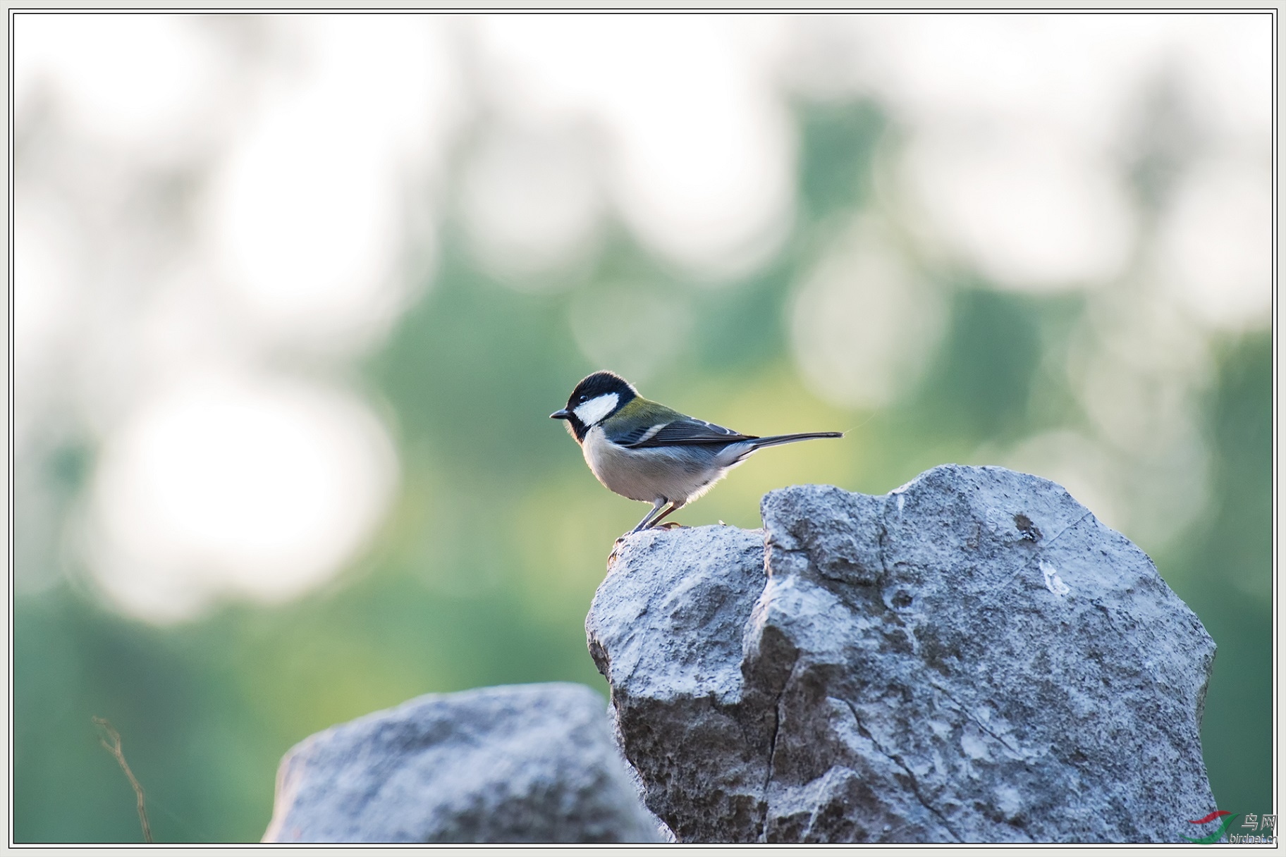 10������