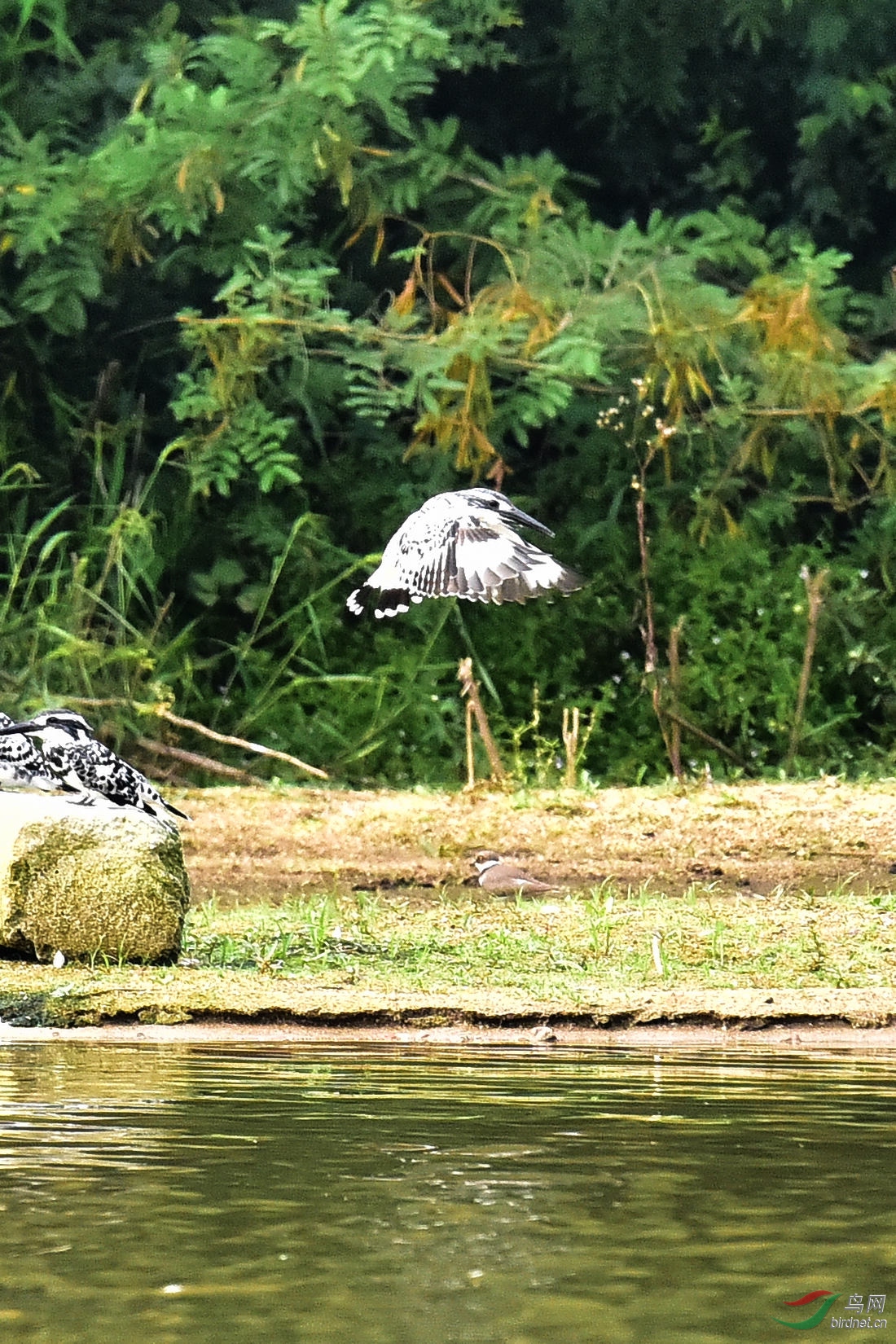 DSC_0421.JPG
