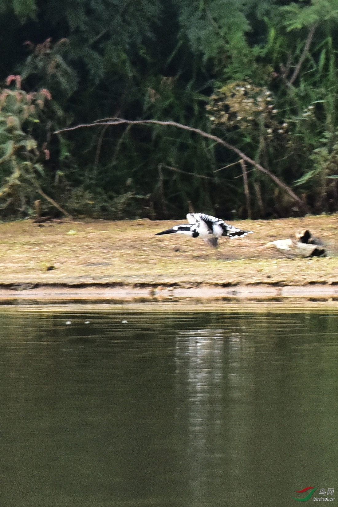 DSC_0435.JPG