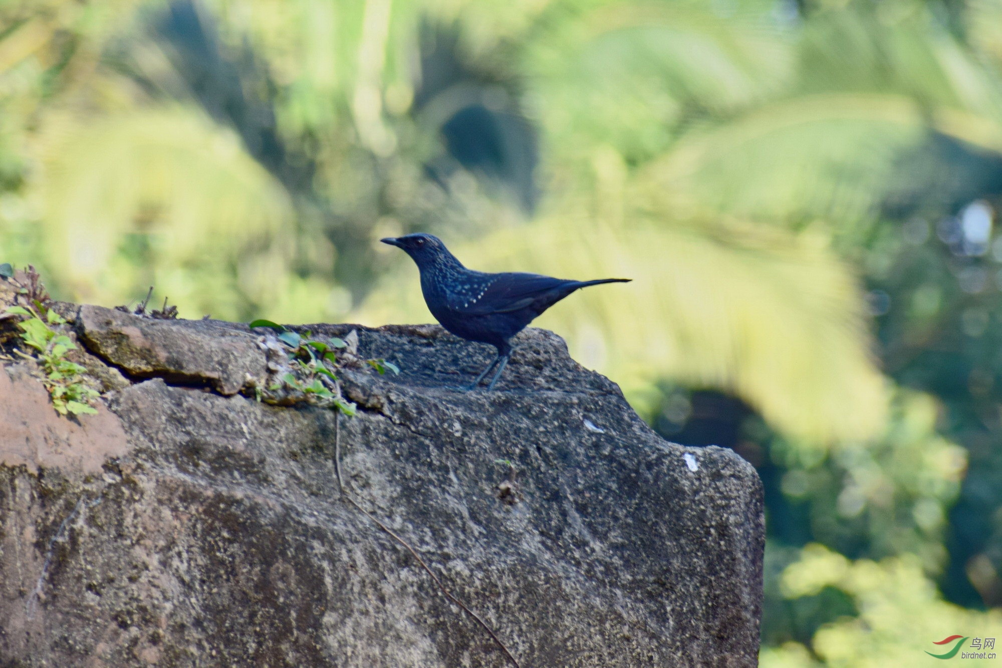 DSC_3449.JPG