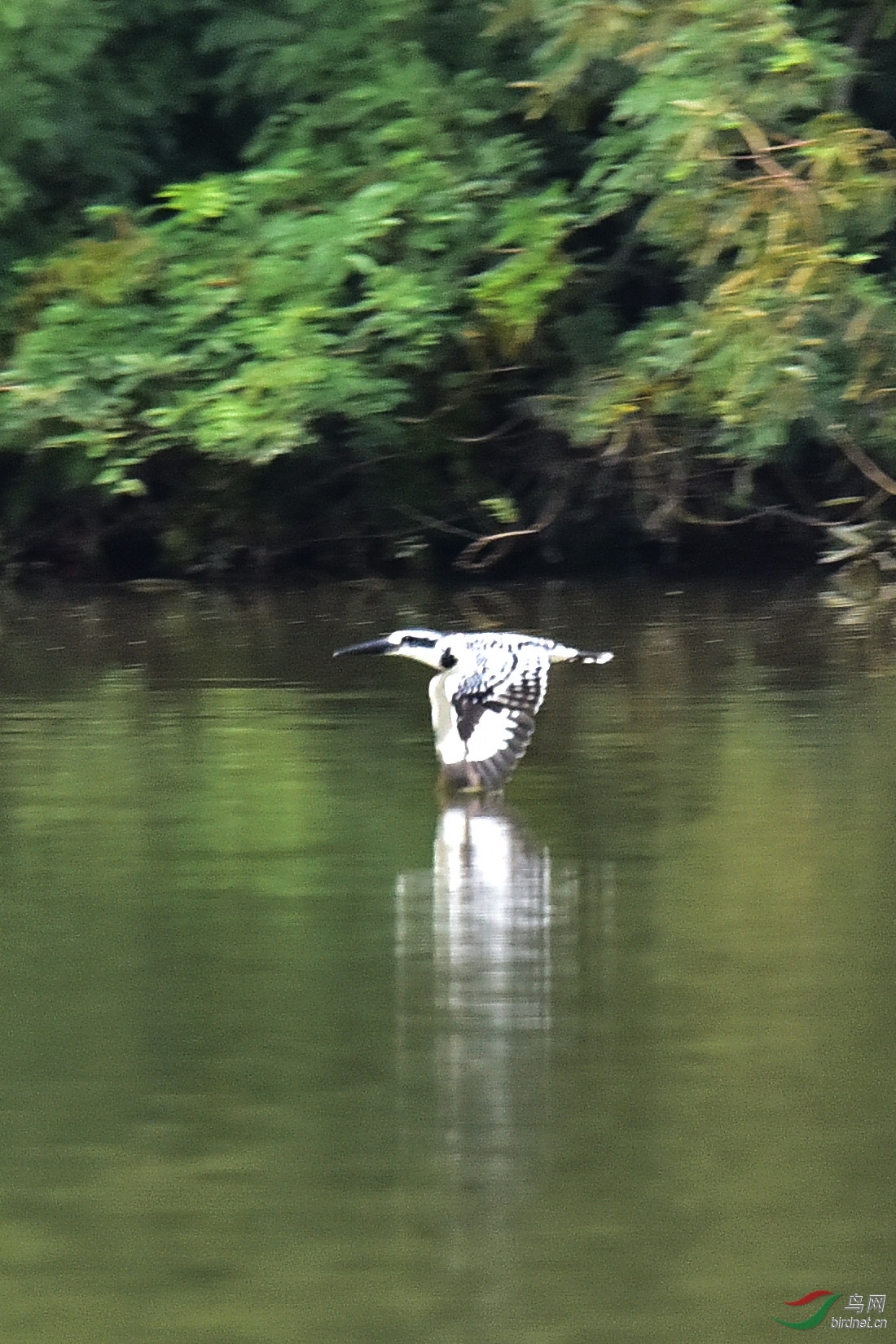 DSC_0436.JPG