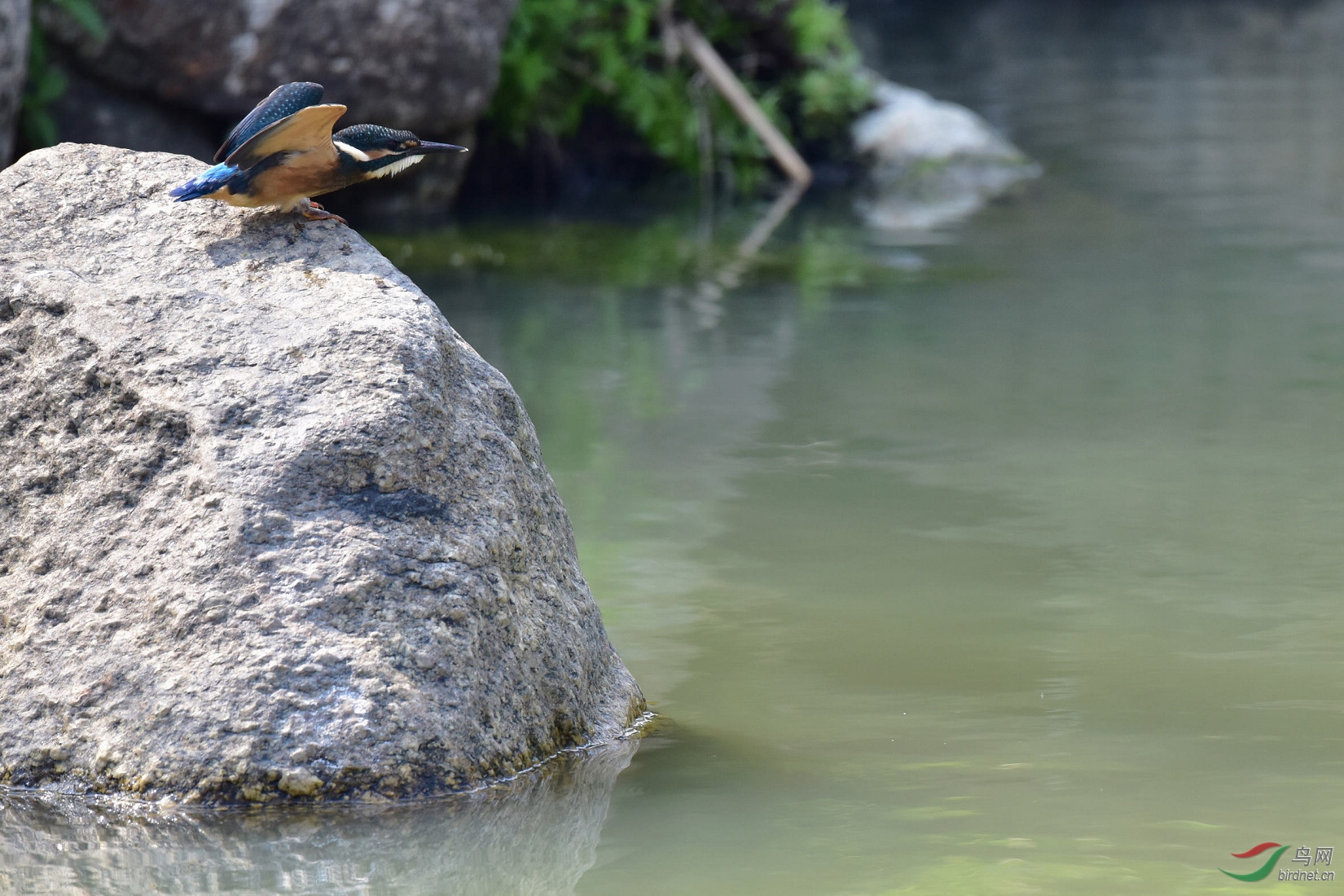 DSC_0437.JPG