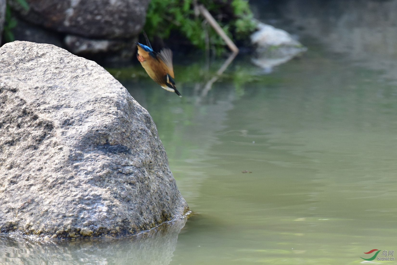 DSC_0438.JPG