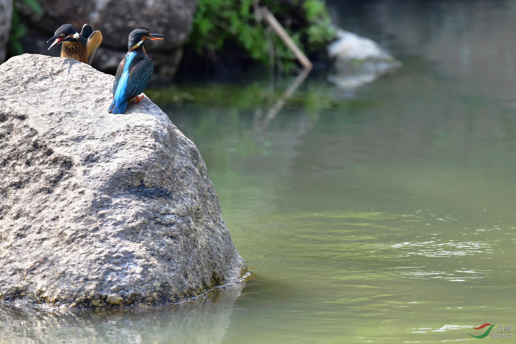 DSC_0444.JPG