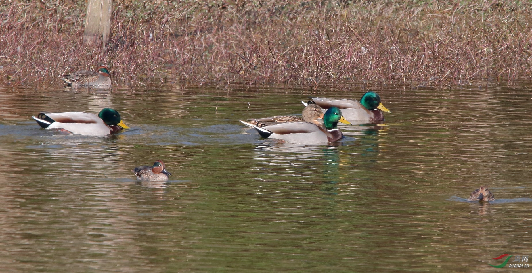 IMG_1257.JPG