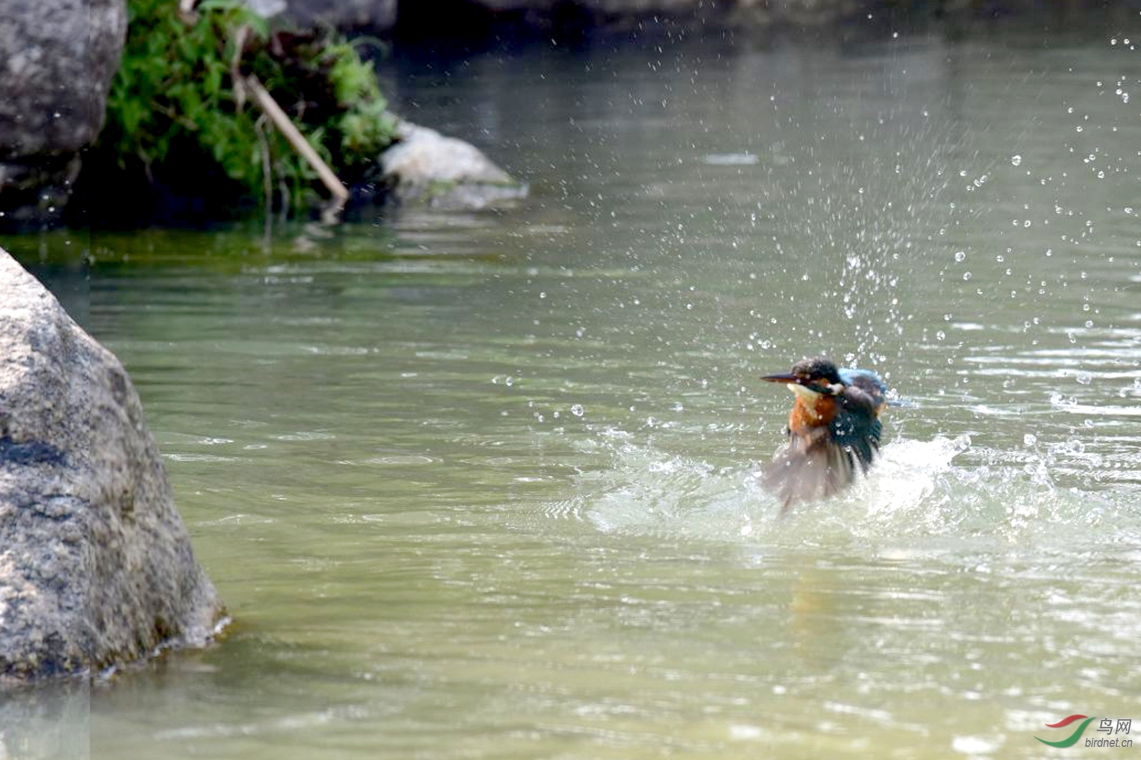 DSC_0452.JPG