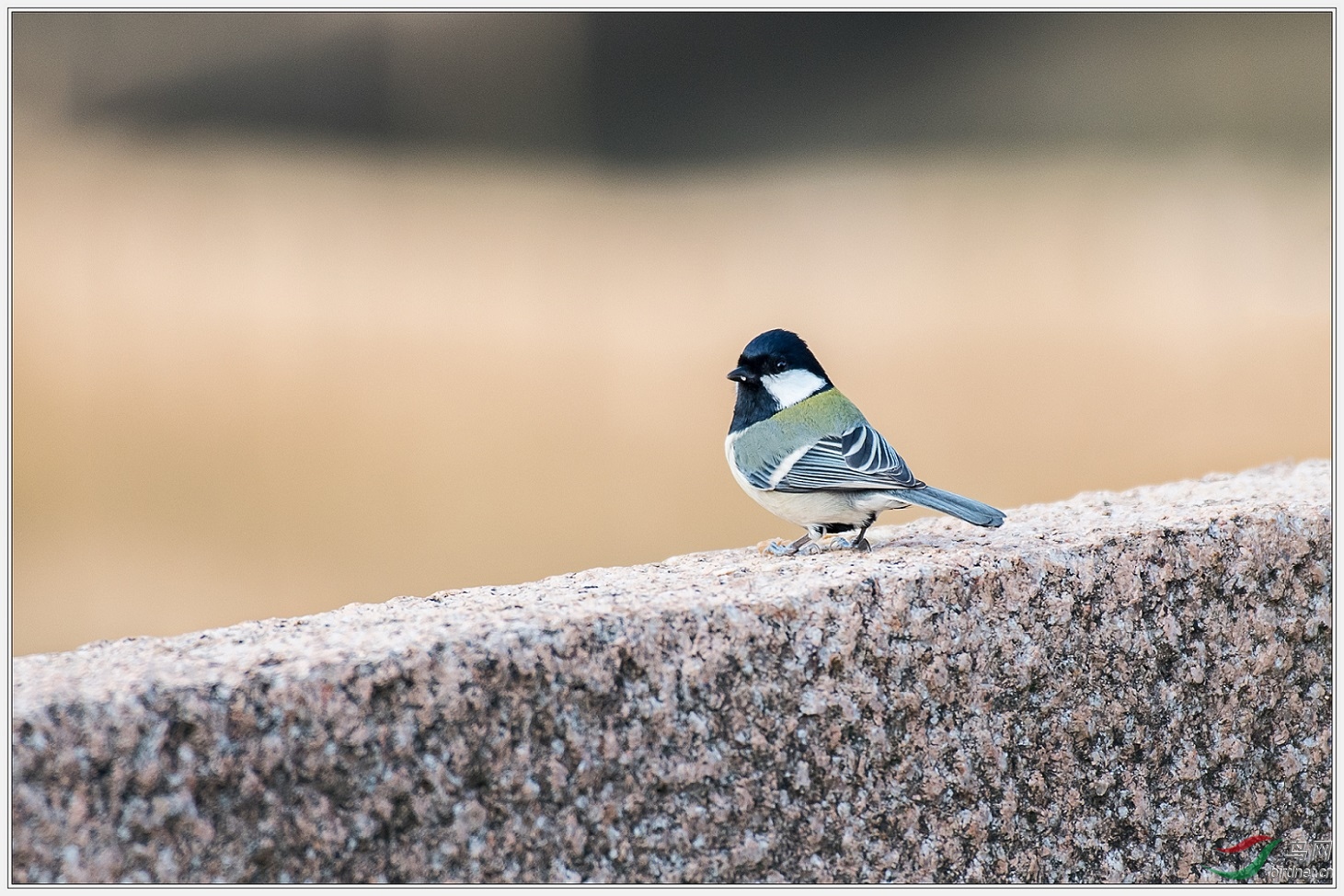 10������в��