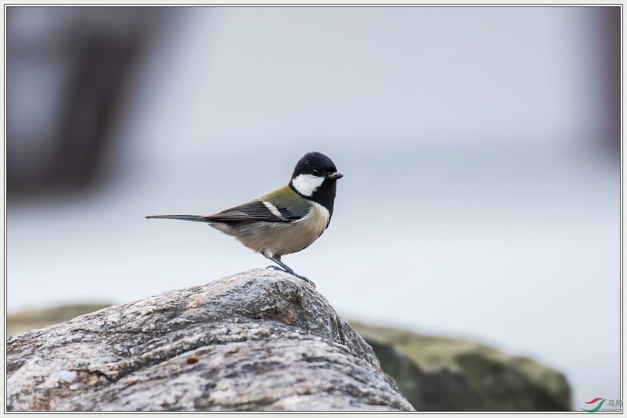 8��С���������