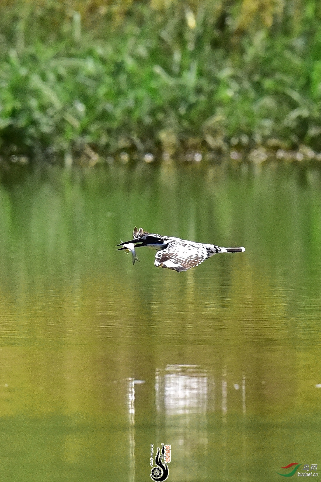 DSC_0459.JPG