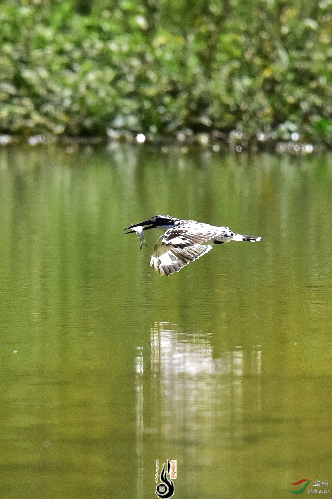 DSC_0460.JPG