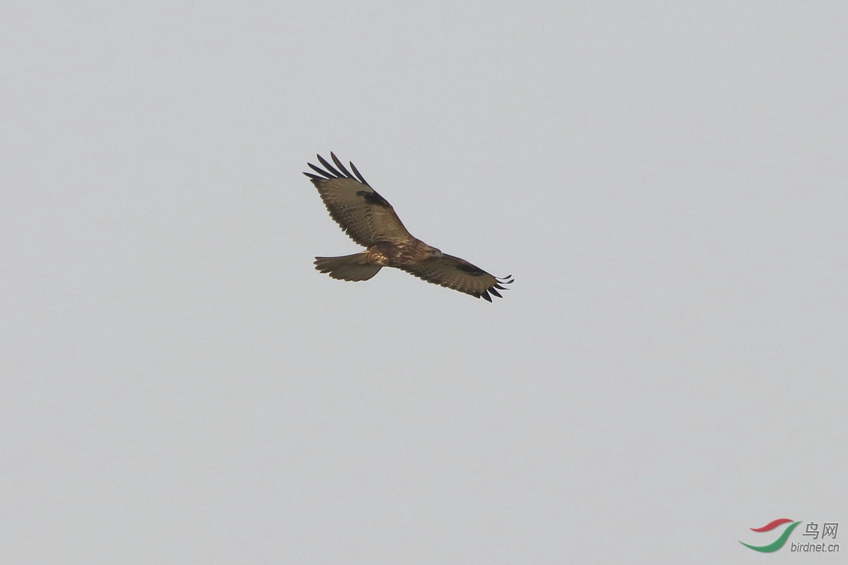 IMG_1341.JPG