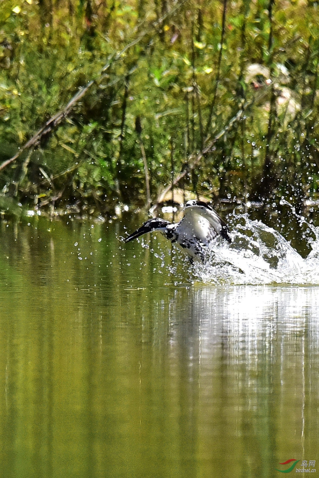 DSC_0473.JPG