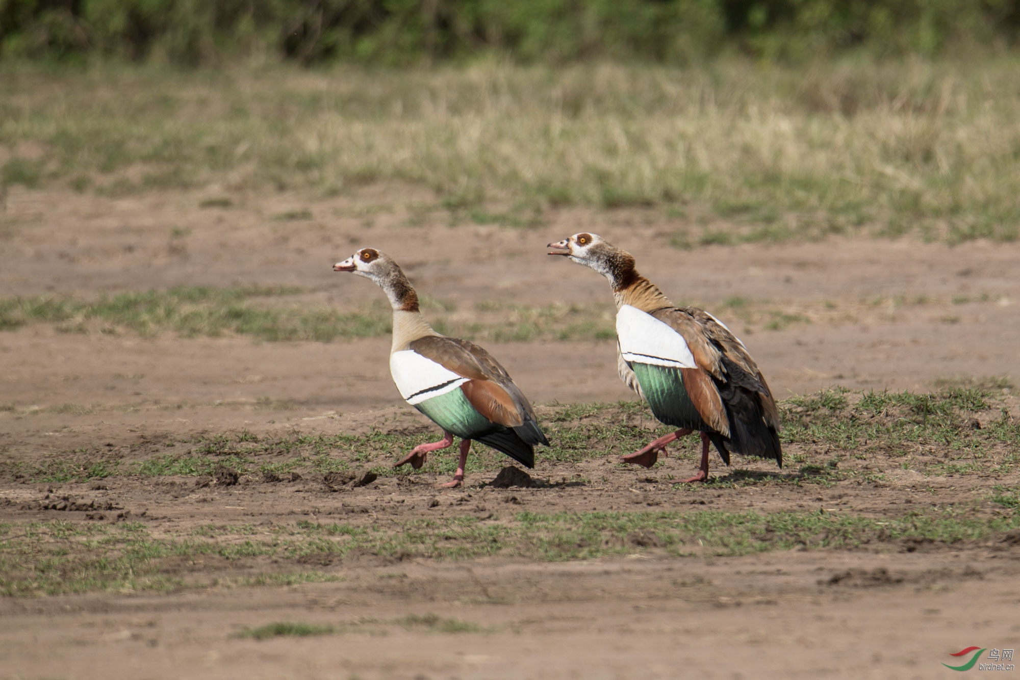 ������-����һ��