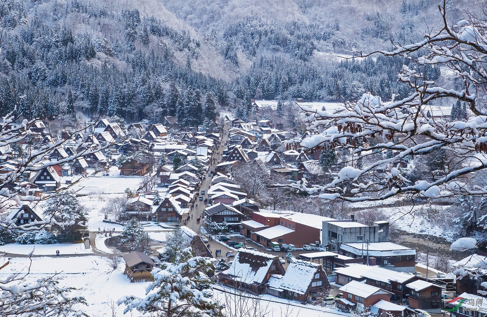 雪景白川乡一瞥 