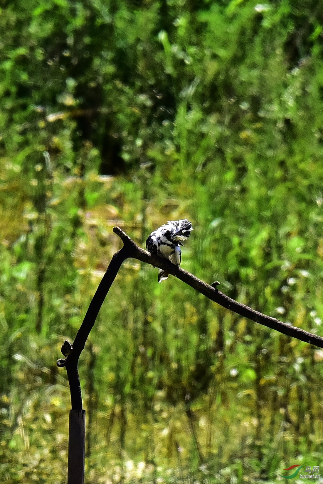 DSC_0480.JPG