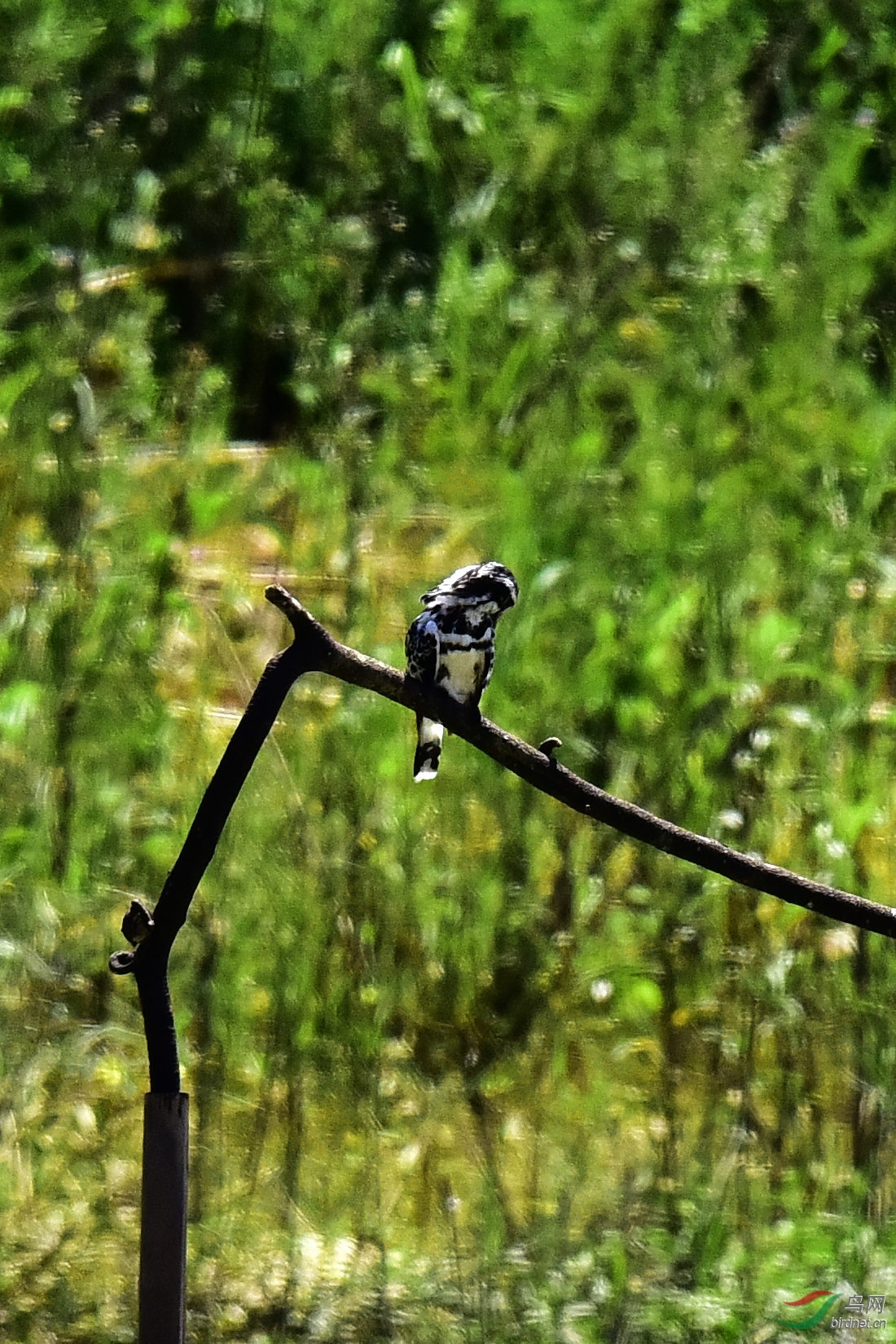 DSC_0495.JPG