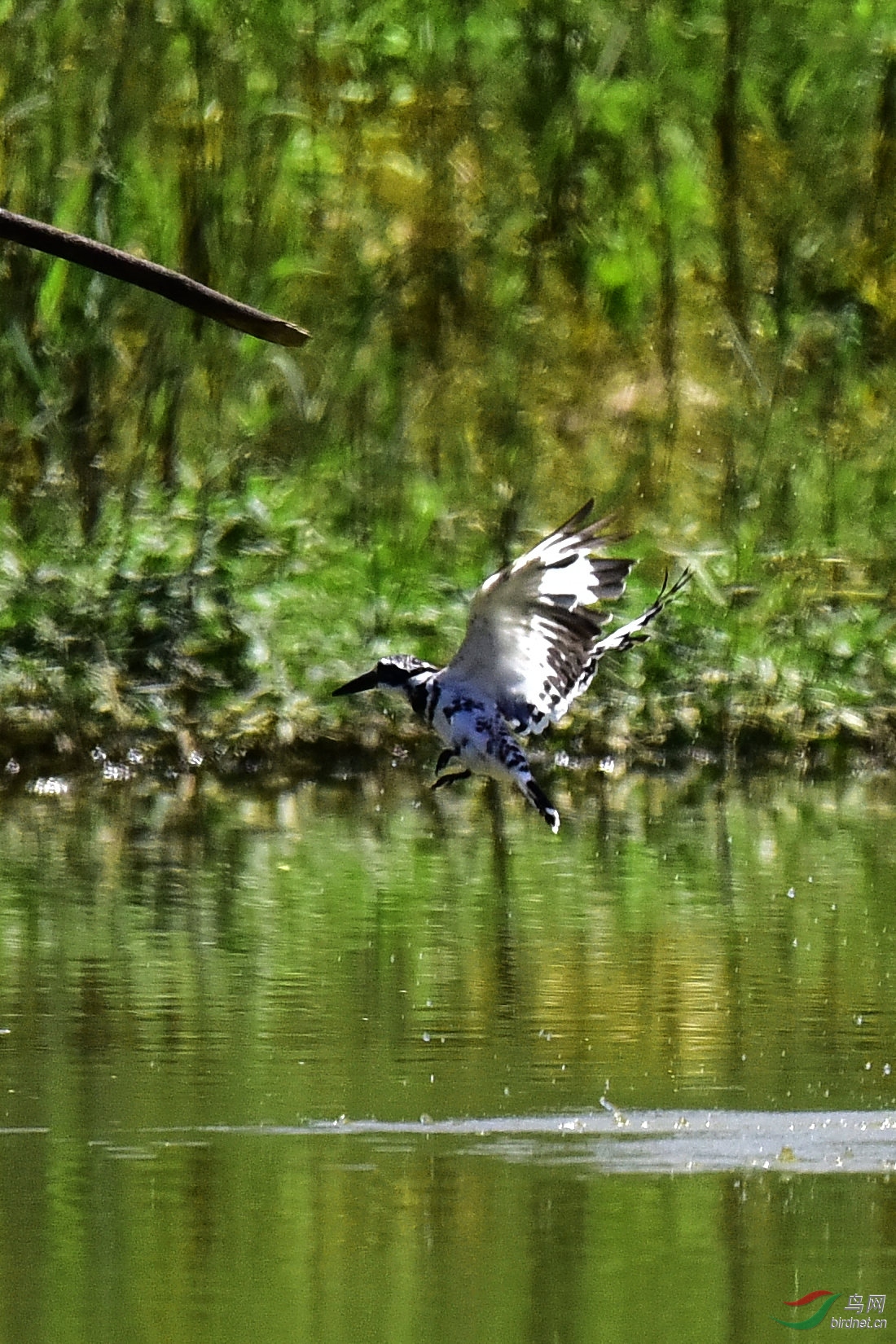 DSC_0507.JPG