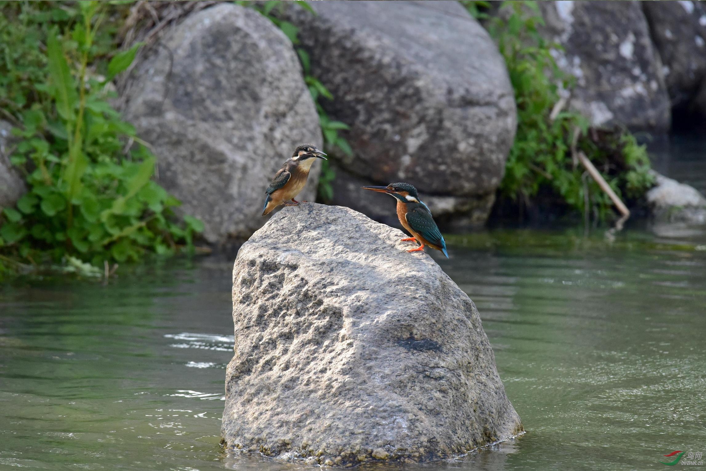 DSC_0544.JPG