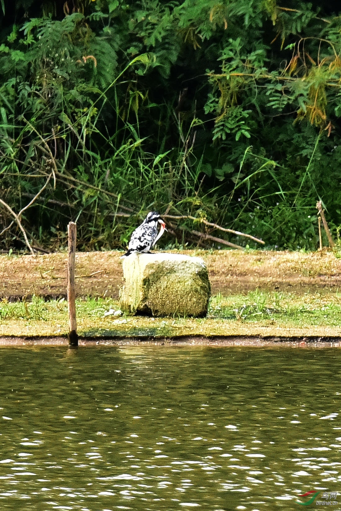 DSC_0582.JPG