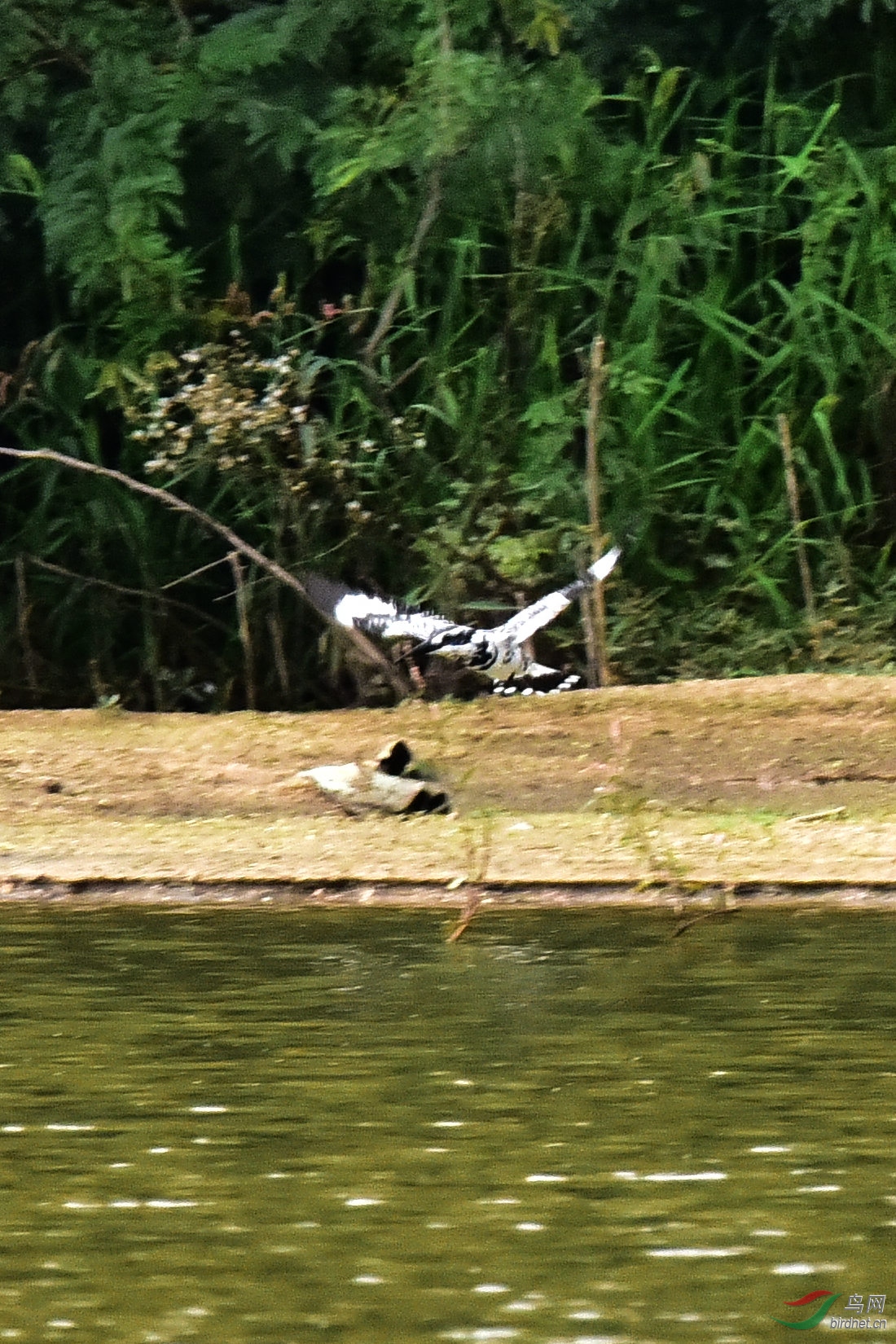 DSC_0585.JPG