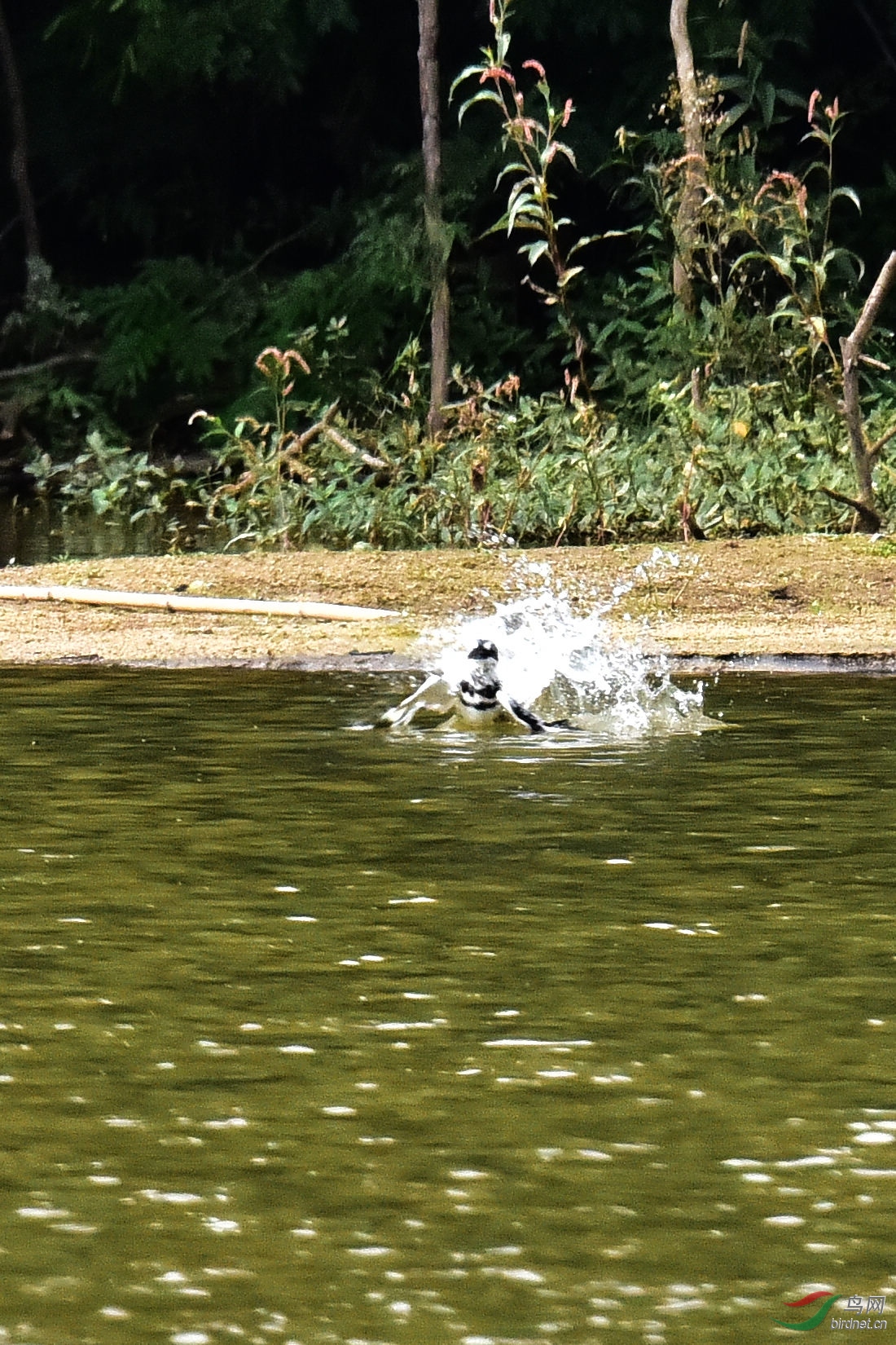 DSC_0586.JPG