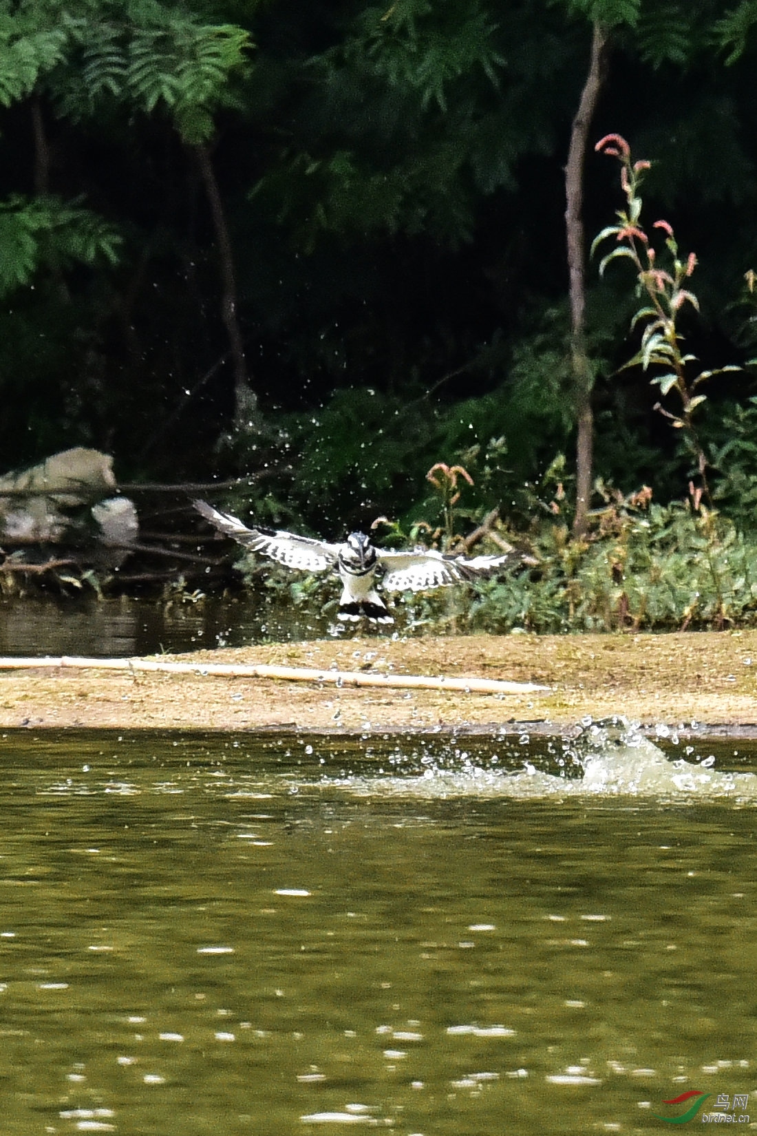 DSC_0587.JPG