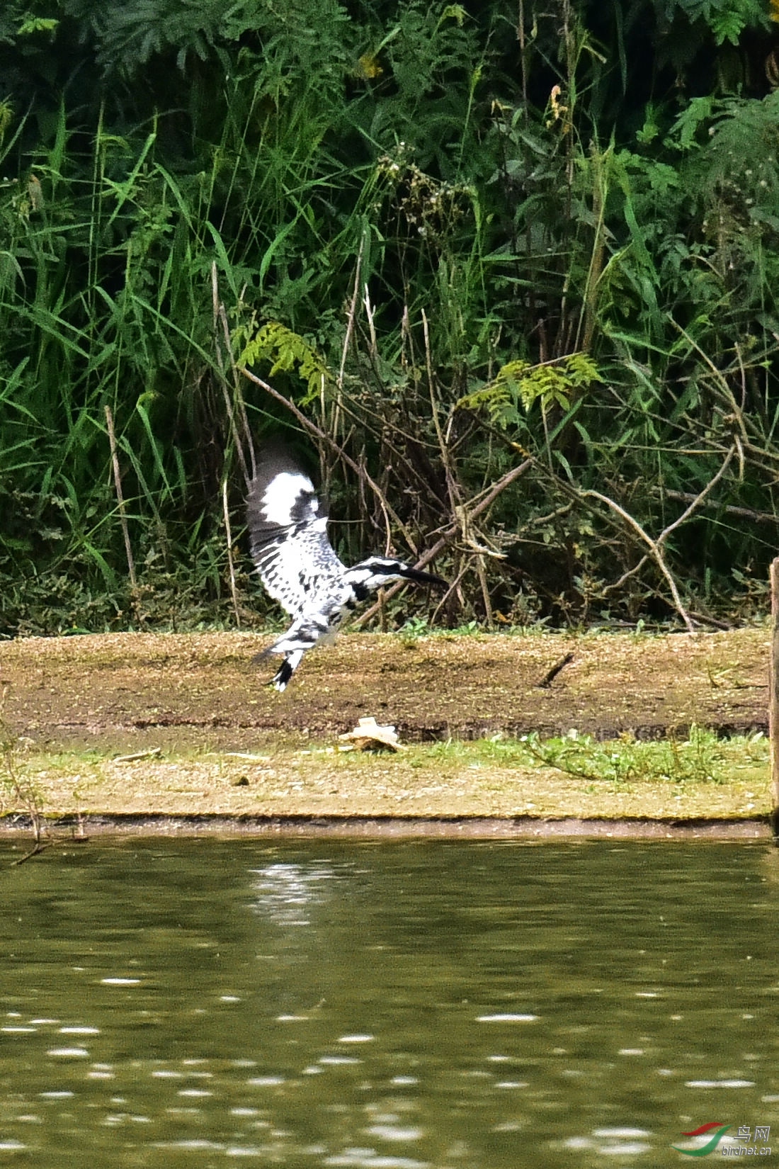 DSC_0591.JPG