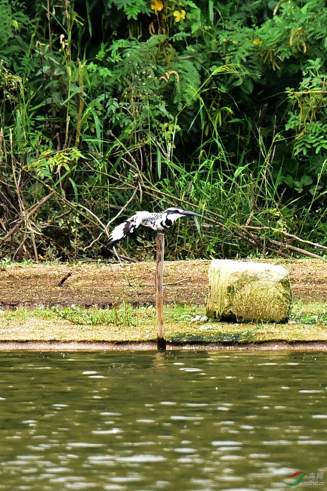 DSC_0614.JPG