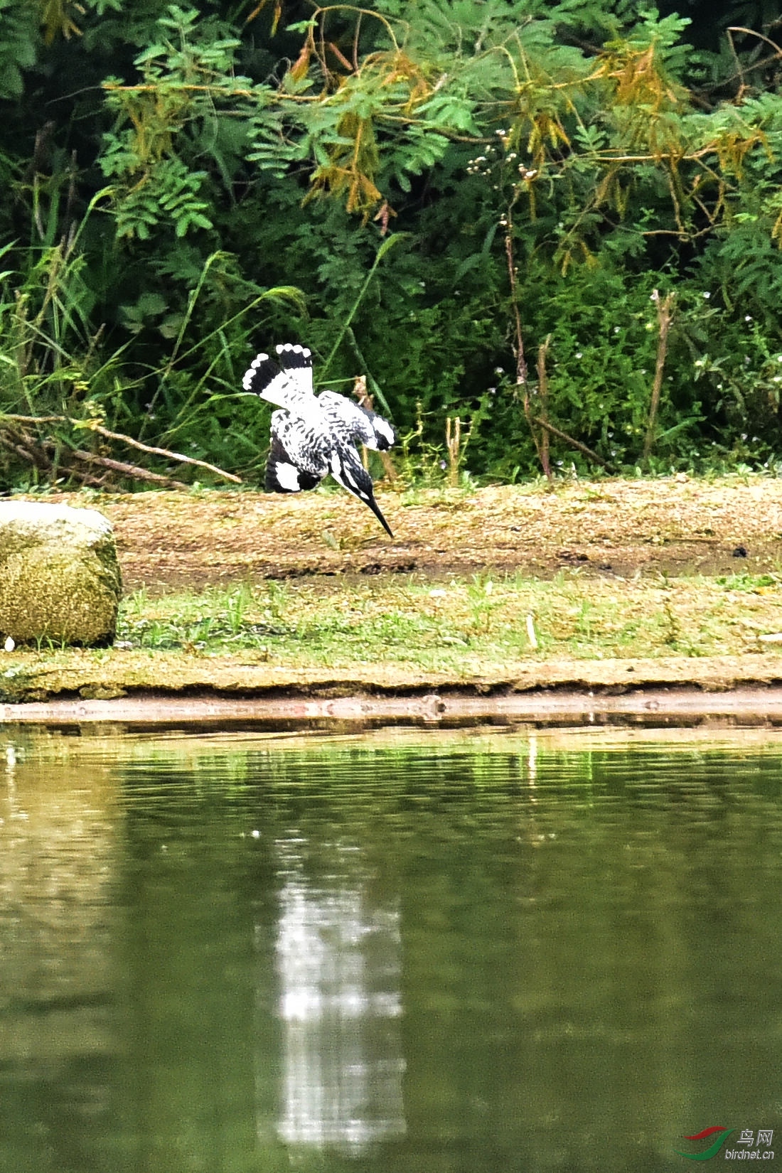 DSC_0624.JPG