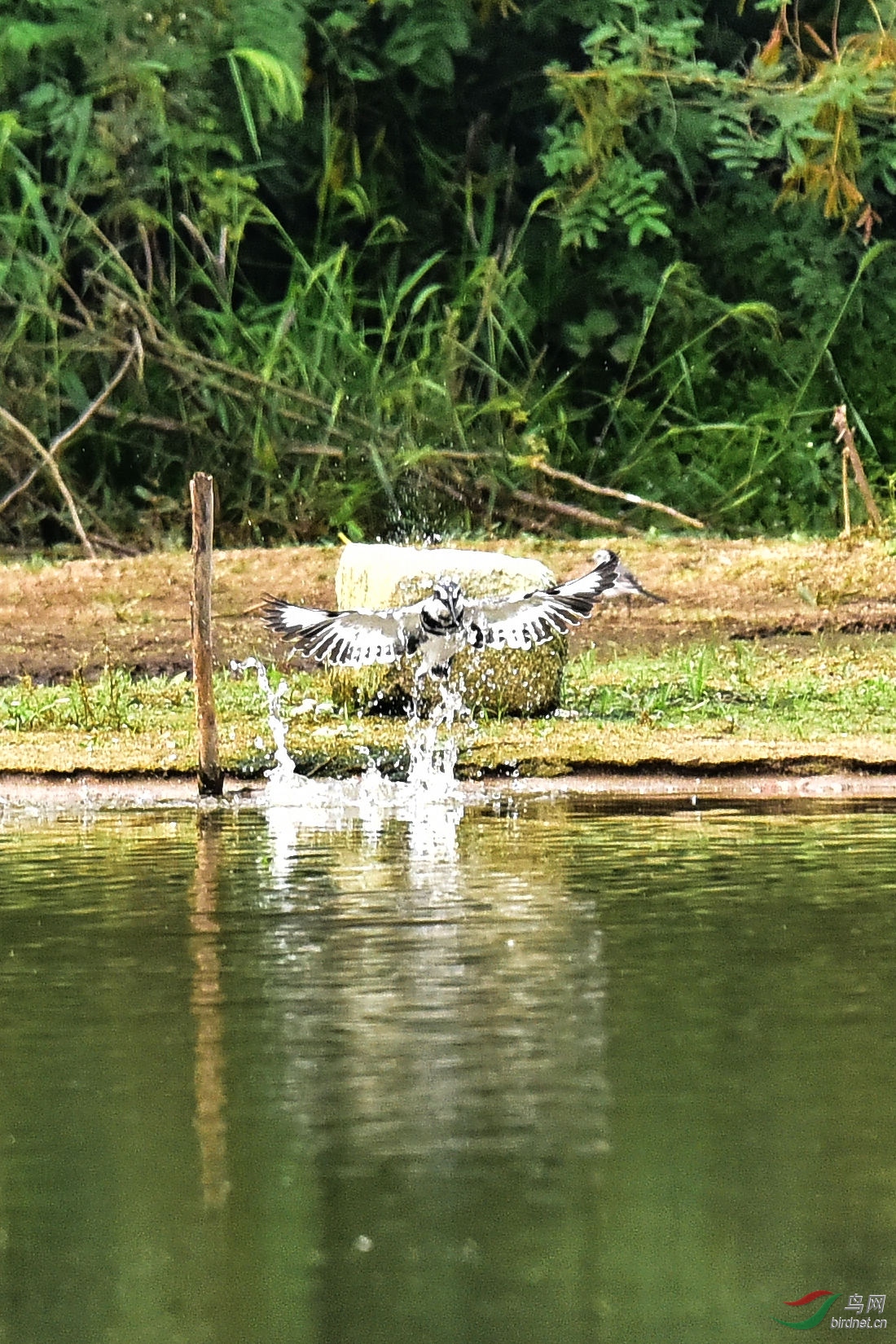 DSC_0628.JPG