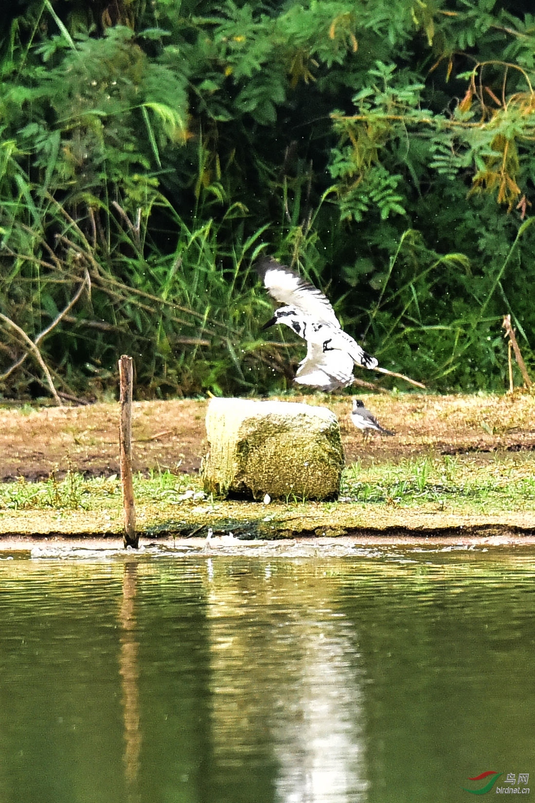 DSC_0630.JPG
