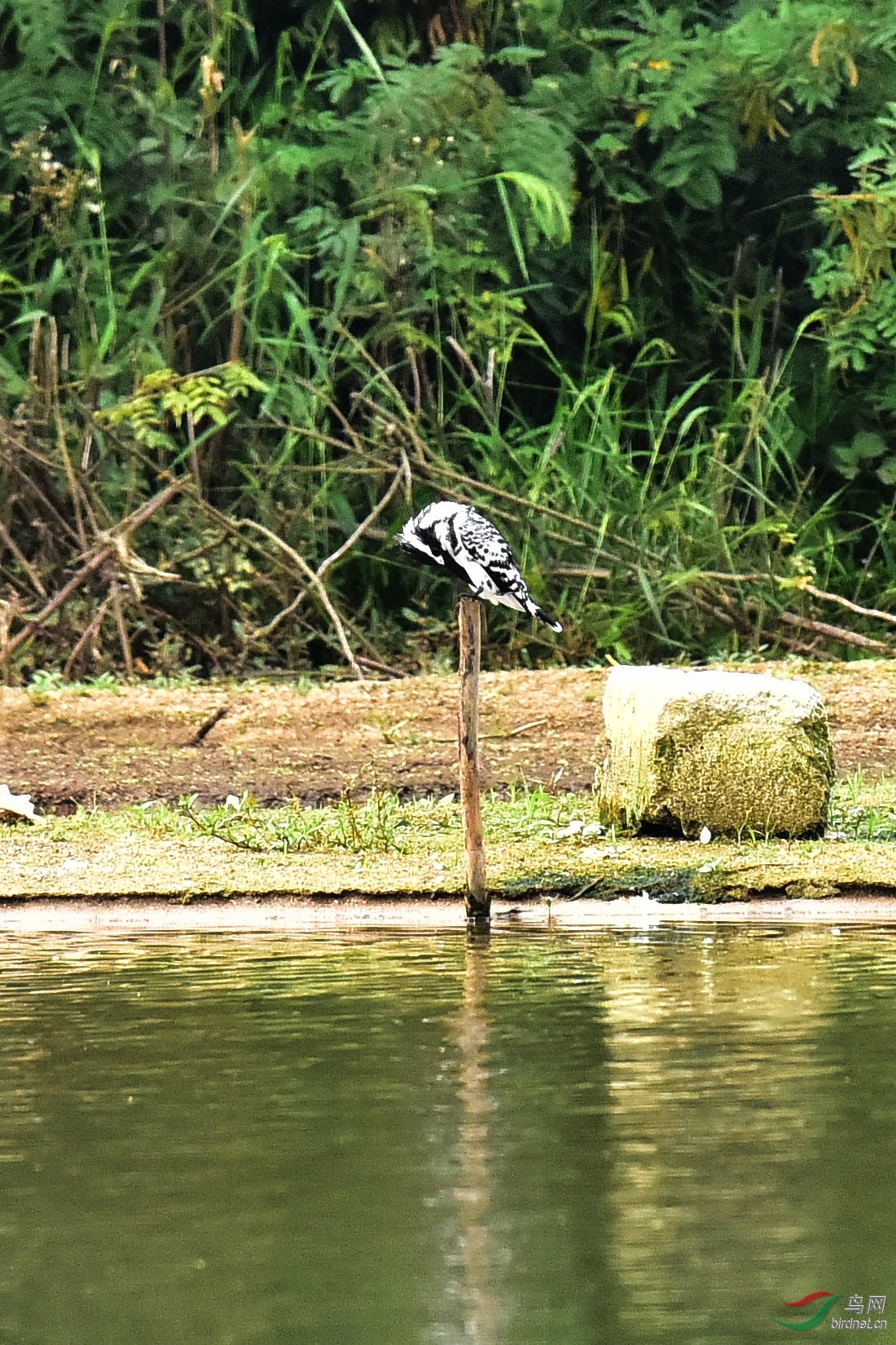 DSC_0632.JPG