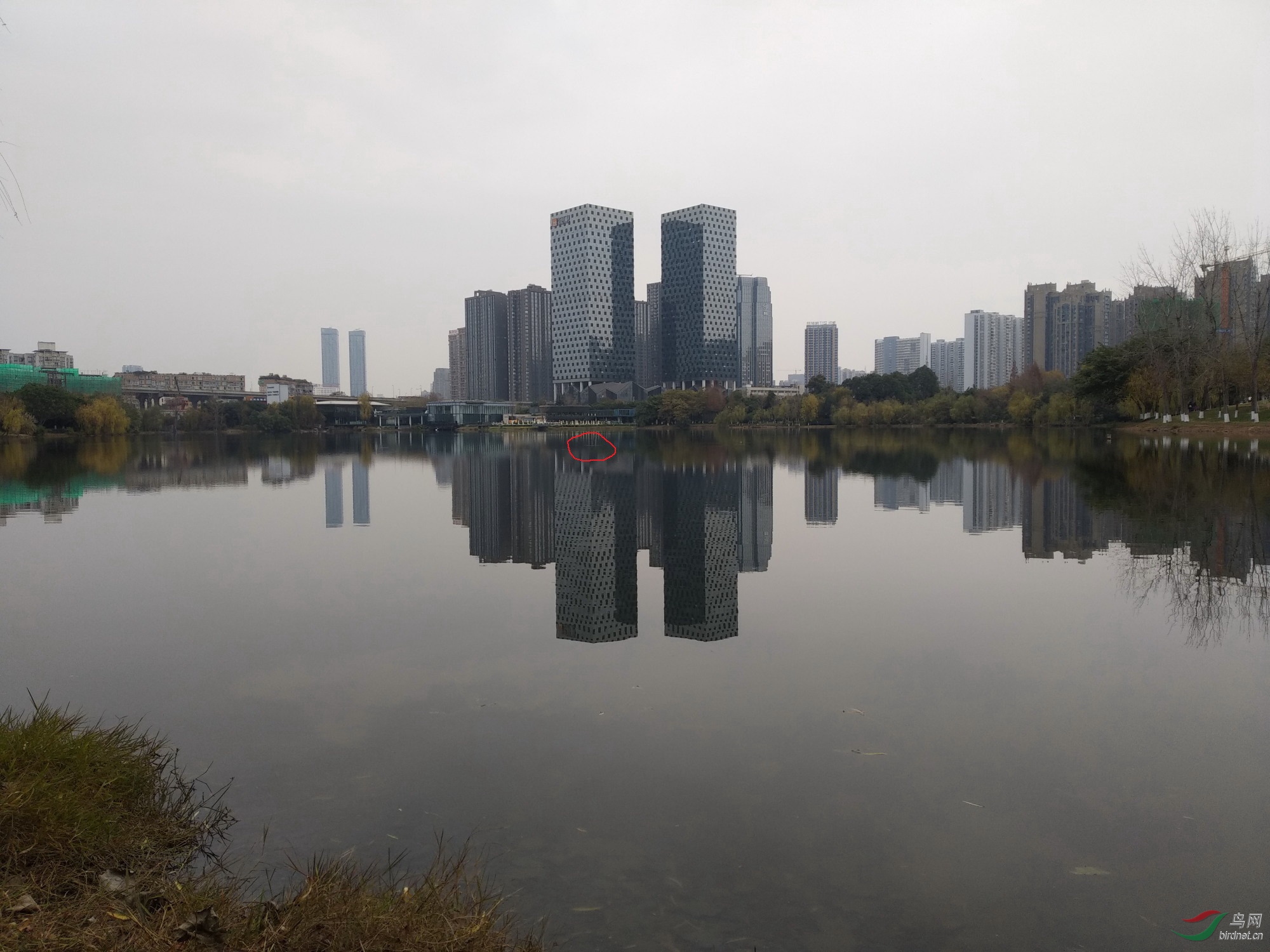 ΢��ͼƬ_20181223170902-2.JPG