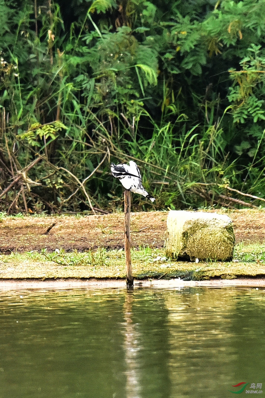 DSC_0633.JPG